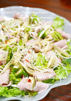 お肉のサラダ✿ちょい辛ドレッシング-レシピのメイン写真
