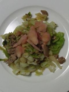 シンプル豚肉とキャベツの炒め物-レシピのメイン写真
