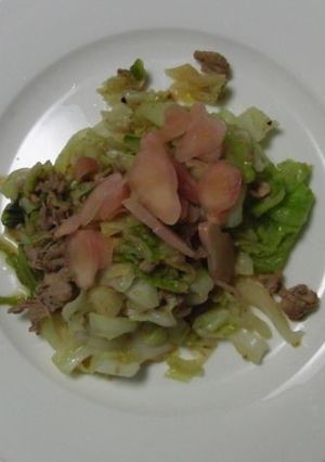 シンプル豚肉とキャベツの炒め物-レシピのメイン写真