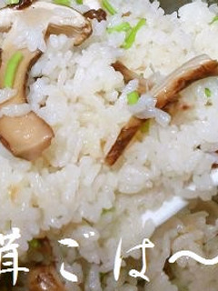 白だしで松茸ごはん-レシピのメイン写真