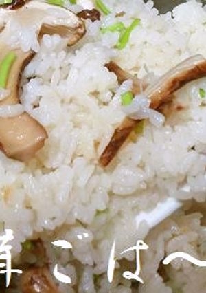 白だしで松茸ごはん-レシピのメイン写真