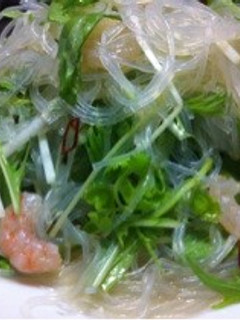 パクチーが美味しい☆タイ風春雨サラダ-レシピのメイン写真