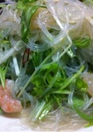 パクチーが美味しい☆タイ風春雨サラダ-レシピのメイン写真