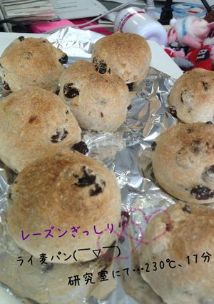 レーズンぎっしり＊ライ麦パン-レシピのメイン写真