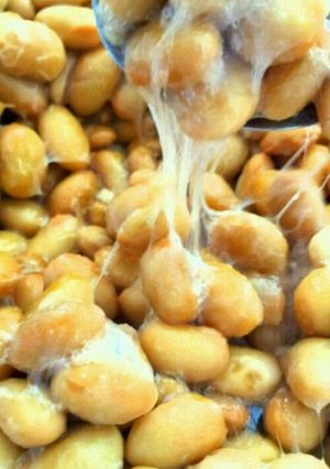 納豆作ってみた！-レシピのメイン写真