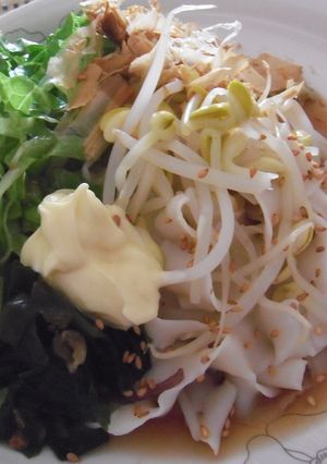簡単！豆もやしサラダきしめん-レシピのメイン写真