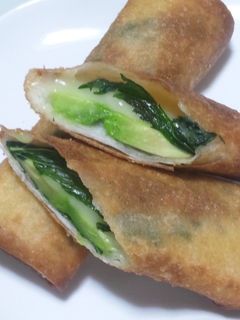 サクサクとろ~り♪アボカド・チーズ春巻き-レシピのメイン写真