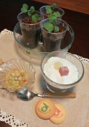 簡単なのに美味しい♪ぶどうシャーベット-レシピのメイン写真