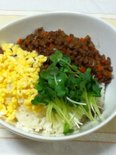 彩りきれい☆三色そぼろ丼-レシピのメイン写真