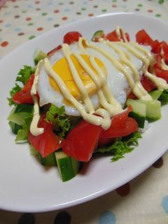 目玉焼きのせサラダ丼-レシピのメイン写真