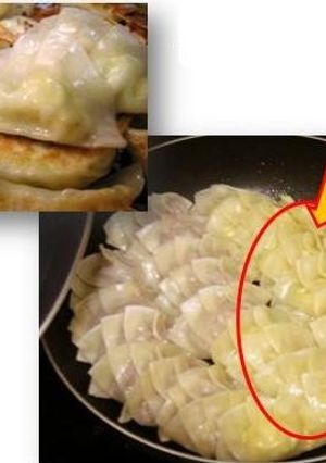 ツナマヨ餃子＆たまご餃子-レシピのメイン写真