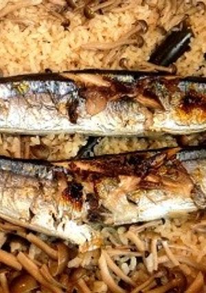 土鍋 ＤＥ 秋刀魚ご飯-レシピのメイン写真