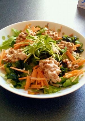 栄養満点！納豆サラダ-レシピのメイン写真