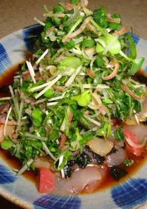 いなだのヅケwith薬味丸やっくんのっけ-レシピのメイン写真