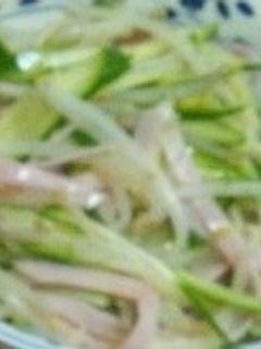 もやしのサラダ-レシピのメイン写真
