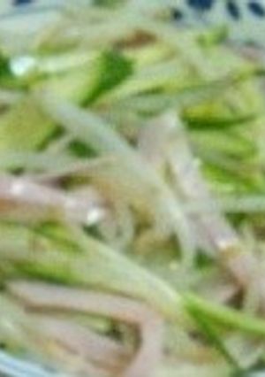 もやしのサラダ-レシピのメイン写真