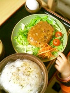 作り置き便利な冷凍★使い回せる肉タネ-レシピのメイン写真