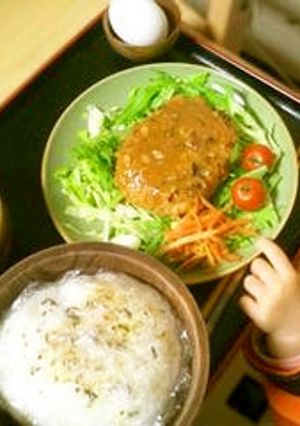 作り置き便利な冷凍★使い回せる肉タネ-レシピのメイン写真