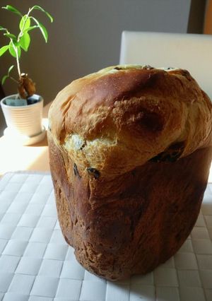 HBで簡単☆レーズンたっぷり食パン-レシピのメイン写真