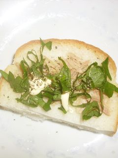 紫蘇&ツナマヨトースト-レシピのメイン写真