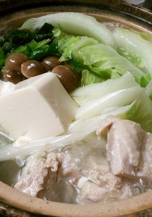 私の☆鶏の水炊き-レシピのメイン写真