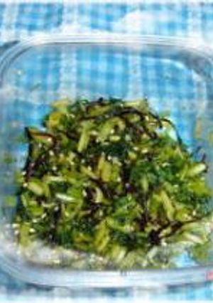 カブの葉（大根の葉）のカンタン漬物-レシピのメイン写真