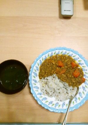 食物繊維たっぷりごぼうカレー-レシピのメイン写真