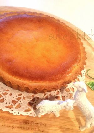 ベイクドチーズケーキ(タルト)-レシピのメイン写真