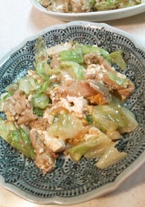 豆腐チャンプルー-レシピのメイン写真