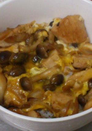 お一人様 簡単親子丼-レシピのメイン写真
