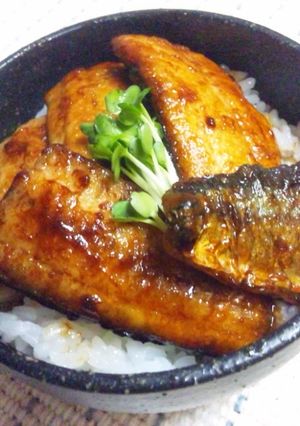うなぎ蒲焼のタレでさんまの蒲焼丼-レシピのメイン写真