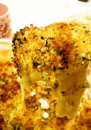 ポルチーニ茸のきのこクリームグラタン-レシピのメイン写真
