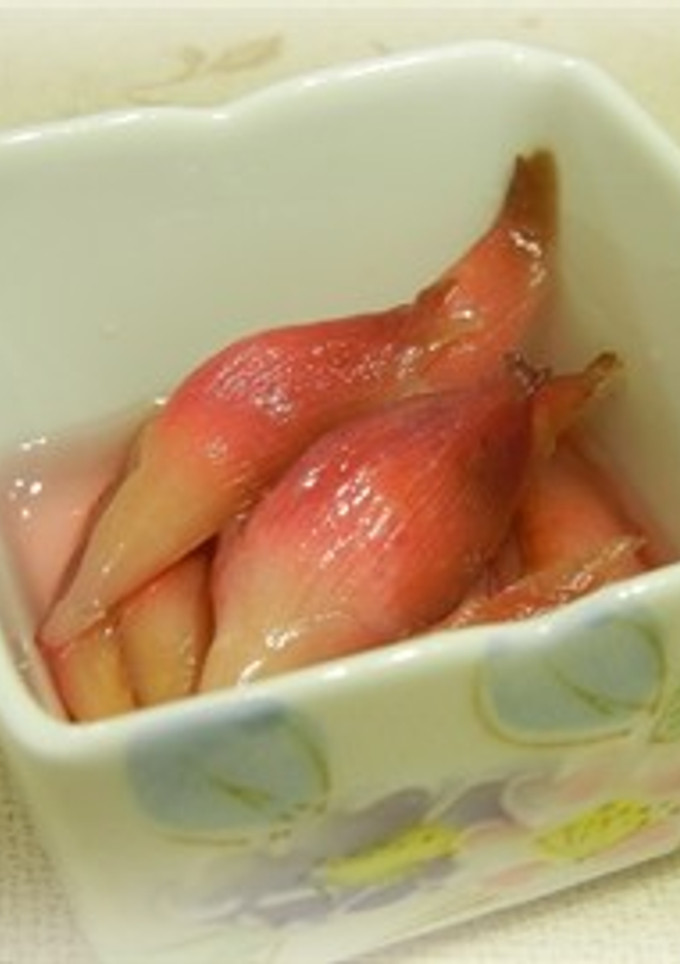 ミョウガの甘酢漬け-レシピのメイン写真