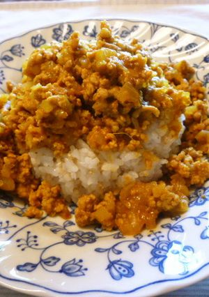 我が家の、『キ—マカレー』-レシピのメイン写真