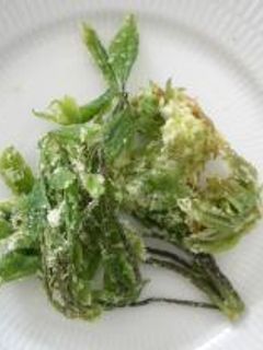 春の味 山菜の天ぷら-レシピのメイン写真