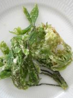 春の味 山菜の天ぷら-レシピのメイン写真