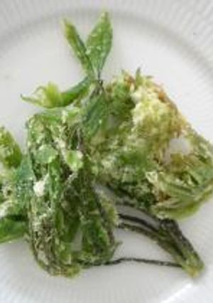 春の味　山菜の天ぷら-レシピのメイン写真