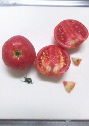 私流☆トマトのヘタの取り方〜イラ②解消？-レシピのメイン写真