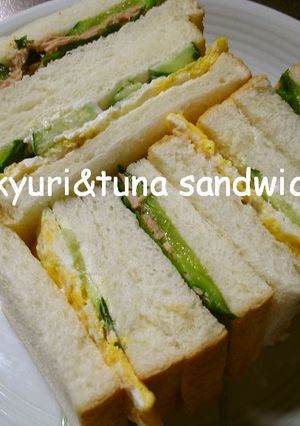 和サッパリ☆塩麹キュウリのツナサンド-レシピのメイン写真