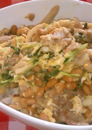 ボリューム☆豆豆ブタ卵丼-レシピのメイン写真