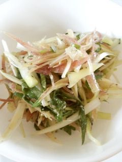 薬味イタリアン??-レシピのメイン写真