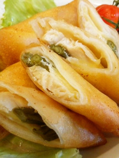 魚の春巻き~カレー風味~-レシピのメイン写真
