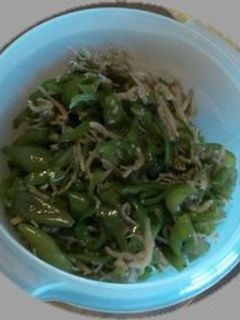 ピーマンとシラスの佃煮-レシピのメイン写真