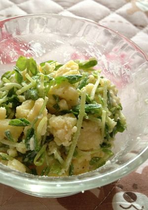 豆苗ポテトサラダ-レシピのメイン写真