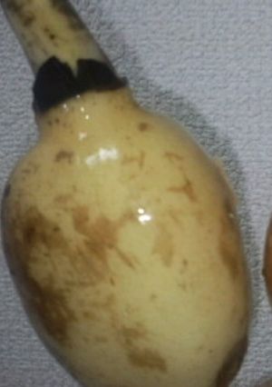 †孫ハスの素揚げ†-レシピのメイン写真