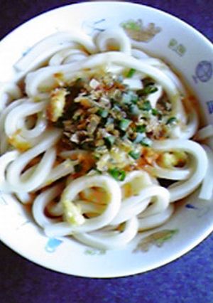 ピリッと☆ねぎかつおしょうがうどん♪-レシピのメイン写真