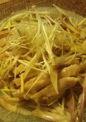 蒸しどりの薬味サラダ-レシピのメイン写真