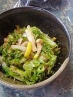 小さな野菜のおかず★白菜とスダチ胡麻和え-レシピのメイン写真