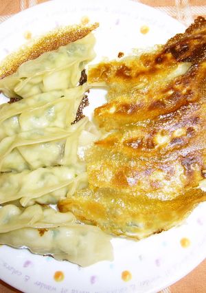 高野豆腐のヘルシー餃子-レシピのメイン写真