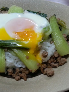 簡単!チンゲン菜とひき肉のとろーり玉子丼-レシピのメイン写真
